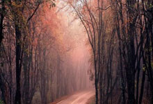 壹号娱乐：斯诺克最新战报！1-4到4-4，囧哥绝地反击冲决赛.