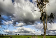 壹号娱乐：赢球心情好，巴萨高层赛后合影庆祝击败马竞.