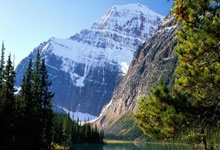 樊振东马龙王楚钦同框!国乒3人拿4项大奖,大头看小胖眼神却火了.