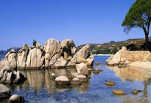 田径——杜普兰蒂斯再破男子撑杆跳世界纪录.